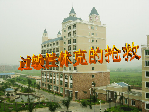 过敏性休克的诊疗