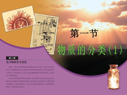 高一化学人教版第一章第一课时物质的分类(新课)