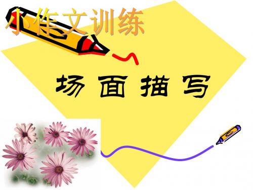 场面描写ppt 资料 共24页