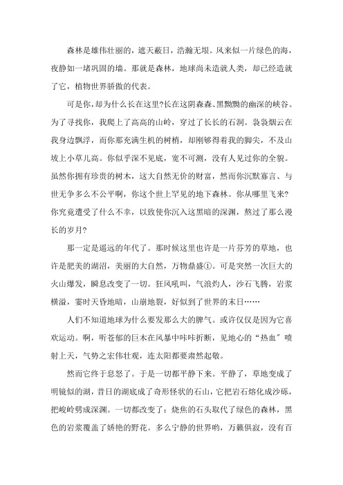 地下森林断想的课文原文精选
