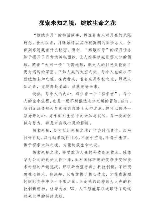 探索未知之境,迈向星辰大海