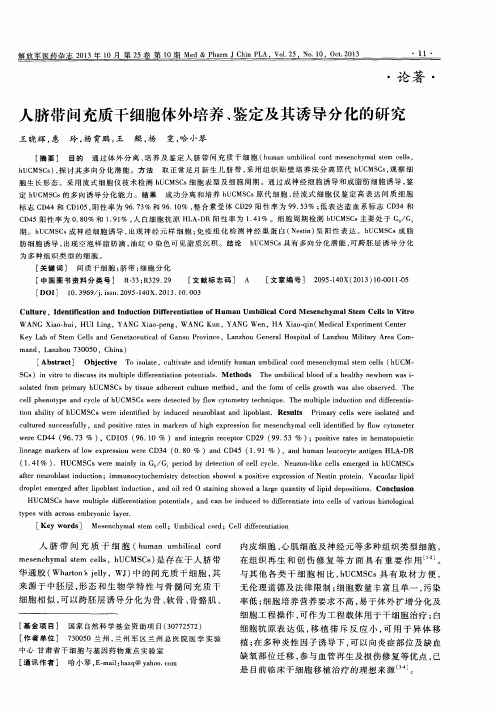 人脐带问充质干细胞体外培养、鉴定及其诱导分化的研究