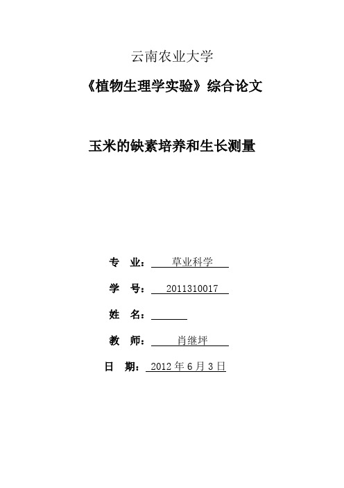 玉米缺素培养(缺Ca)