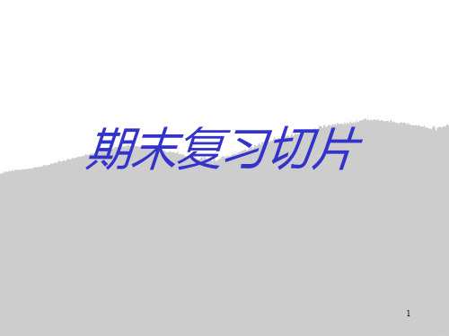 组胚期末实验切片复习内容PPT课件