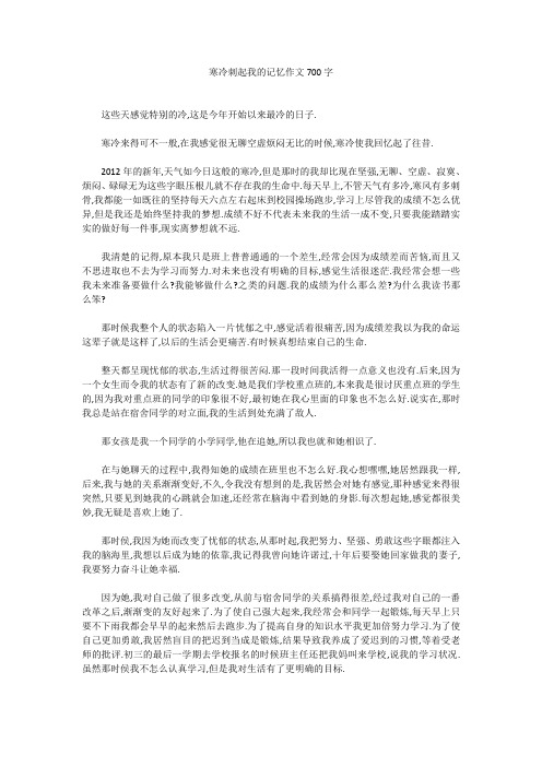 高中作文：寒冷刺起我的记忆作文700字
