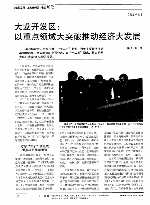 大龙开发区：以重点领域大突破推动经济大发展