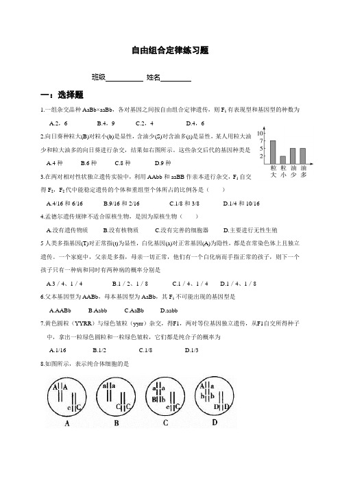 自由组合定律练习题1