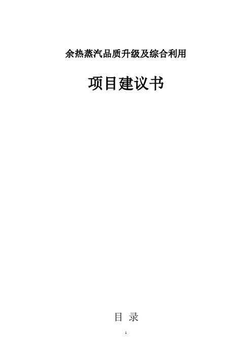 余热蒸汽品质升级及综合利用项目建议书
