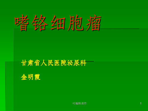 嗜铬细胞瘤幻灯PPT课件