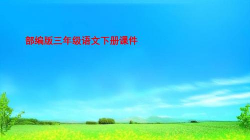 部编版人教版三年级下册语文3.荷花人教部编版(共35张PPT)