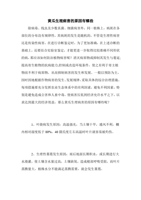 黄瓜生理病害的原因有哪些