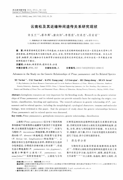云南松及其近缘种间遗传关系研究现状