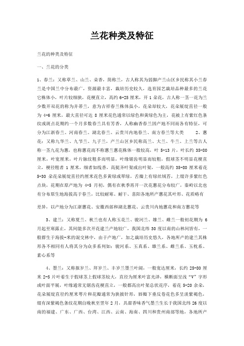 兰花种类及特征