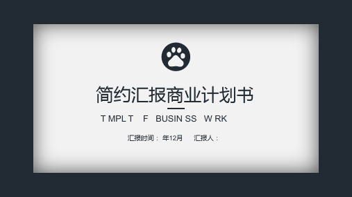 汇报商业计划书工作总结汇报模板