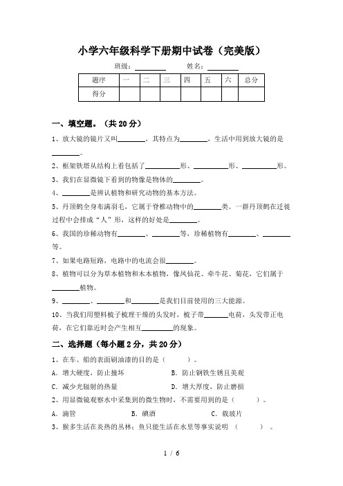 小学六年级科学下册期中试卷(完美版)