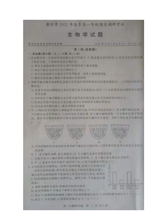 湖北省黄冈市2020_2021学年高一生物下学期期末调研考试试题扫描版