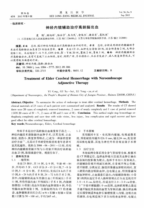 神经内镜辅助治疗高龄脑出血
