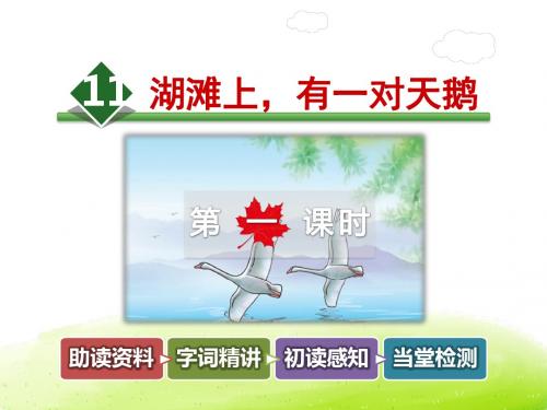 湖滩上有一对天鹅PPT课件最新3上冀教版
