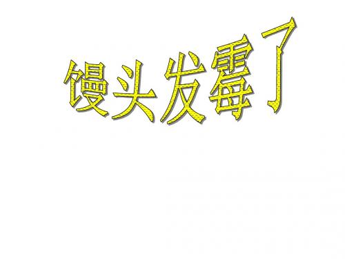 六年级科学《馒头发霉了》课件