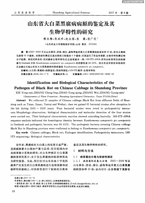 山东省大白菜黑腐病病原的鉴定及其生物学特性的研究