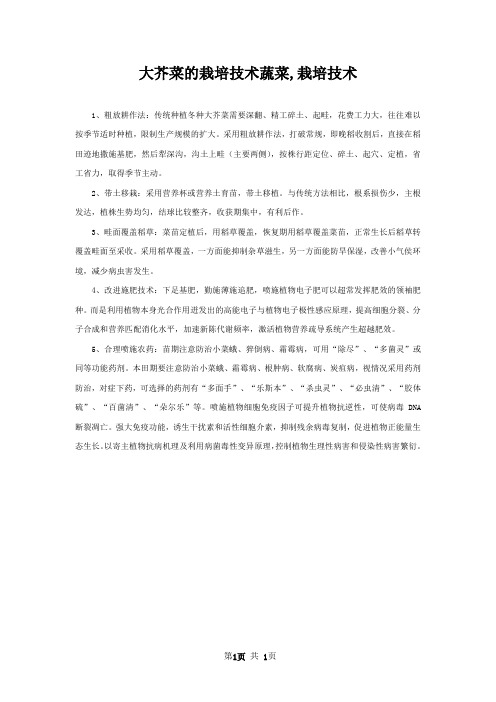 大芥菜的栽培技术蔬菜,栽培技术