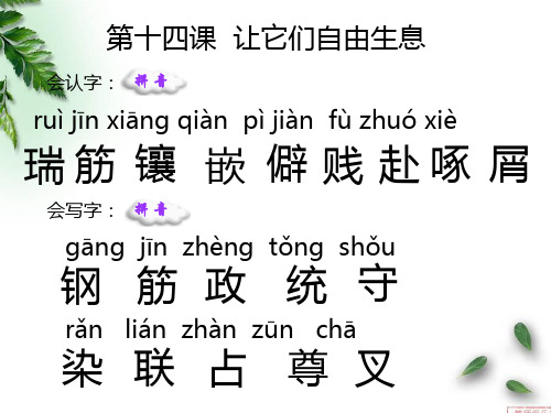 14 让它们自由生息_生字词学习
