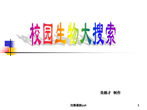 六年级上册科学《校园生物大搜索》ppt课件