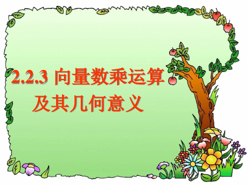 223向量数乘运算及其几何意义1精品PPT课件