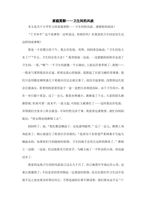 家庭剪影——卫生间的风波_小学作文