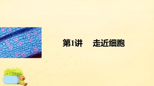 【步步高】(全国通用)2017版高考生物一轮复习 第一单元 走近细胞与组成细胞的分子 第1讲 走近细胞课件