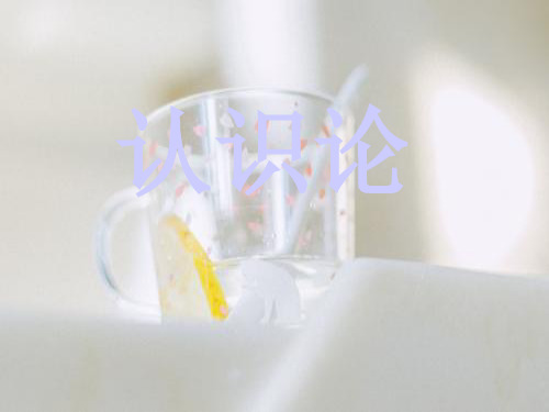 认识论PPT教学课件