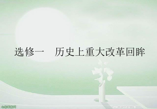 2013高考历史选修ⅰ人教版一轮复习课件第1讲古代历史上的改革(精)