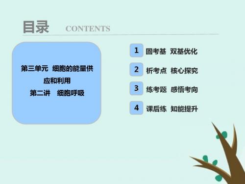 高考生物一轮复习课件第三单元 第二讲 细胞呼吸