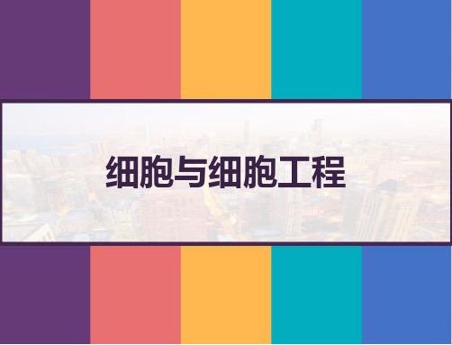 细胞与细胞工程 PPT