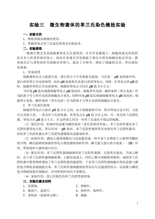 活性污泥相及大肠杆菌培养及染色实验