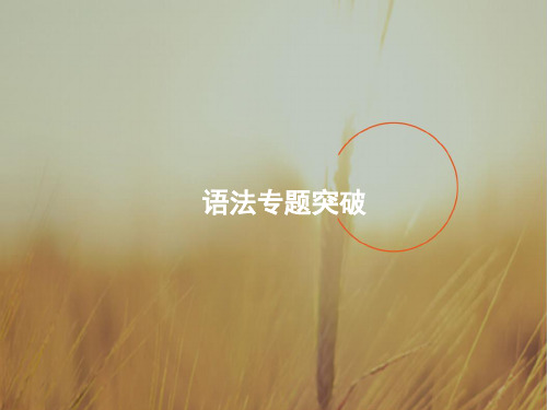 2018届高考英语一轮课件：语法专题1 名词和冠词 精品