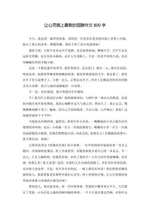 让心灵插上勇敢的翅膀作文800字