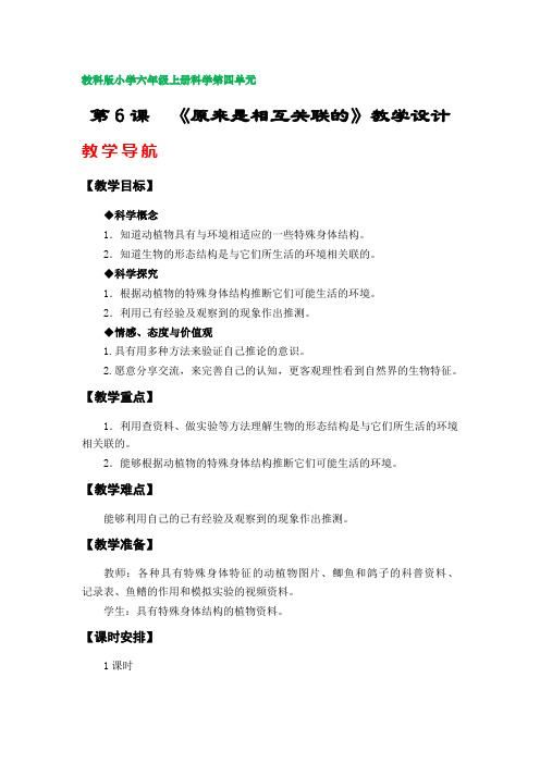 第6课  《原来是相互关联的》教案(教科版小学六年级科学上册第四单元)