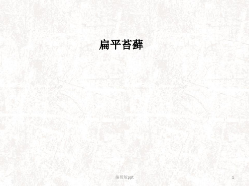 扁平苔藓PPT课件