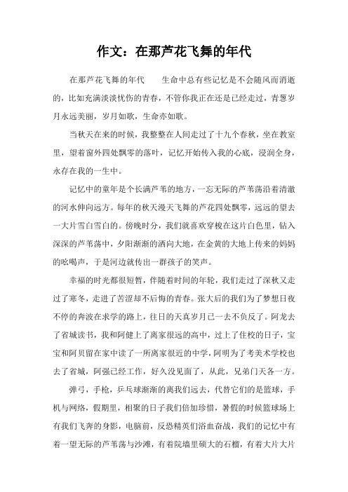 作文：在那芦花飞舞的年代