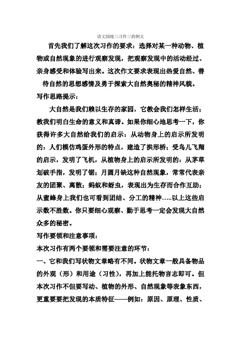 语文园地三习作三的例文