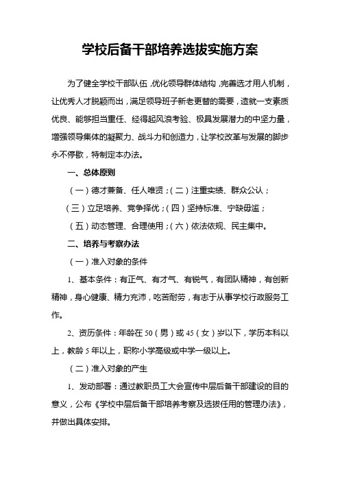 学校后备干部培养选拔实施方案