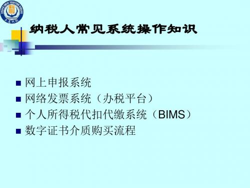 纳税人常见系统操作知识精品PPT课件
