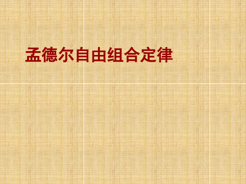 浙江省杭州市高三生物研讨会资料 孟德尔自由组合定律名师精编课件