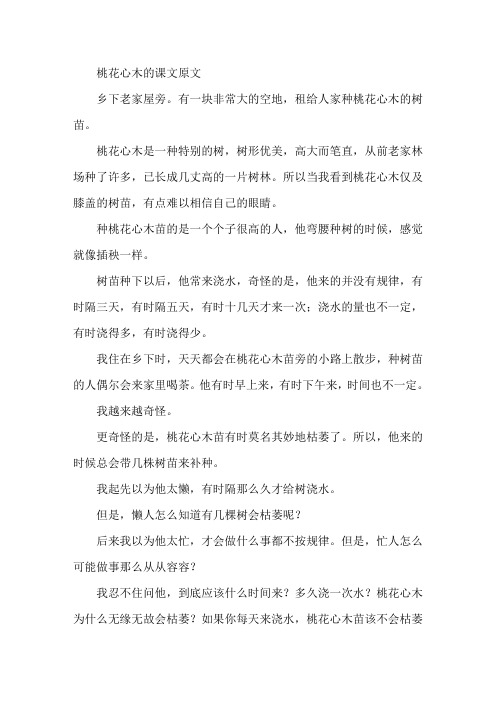 桃花心木的课文原文