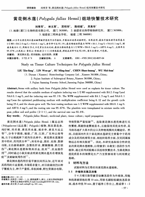 黄花倒水莲(Polygala fallax Hemsl)组培快繁技术研究
