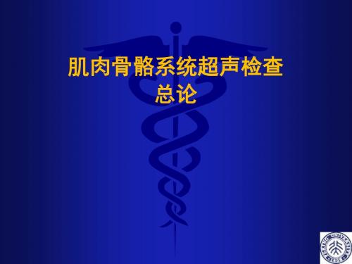 肌肉骨骼系统超声检查总论