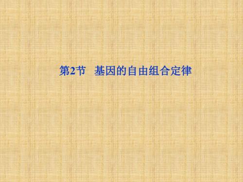 (江苏专用)高考生物总复习 第3章 遗传和染色体 第2节 基因的自由组合定律名师课件 苏教版必修2