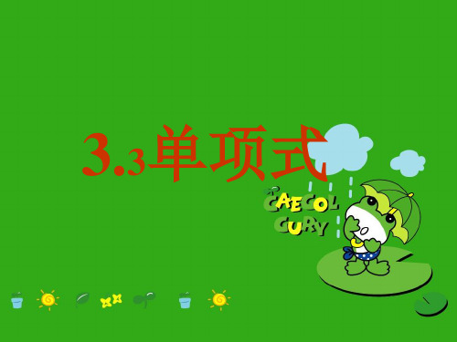 《单项式》PPT课件 (公开课获奖)2022年华师大版 (2)