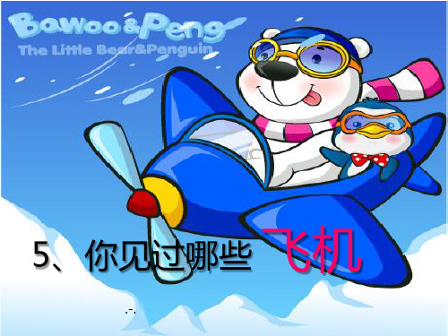 你见过哪些 飞机PPT课件